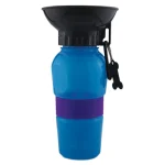 Blue/Purple